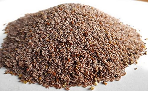 Ayushiv Ayushiv ISABGOL SEEDS (Plantago ovata) -Psyllium husk- Isabgol aka (100 GM)