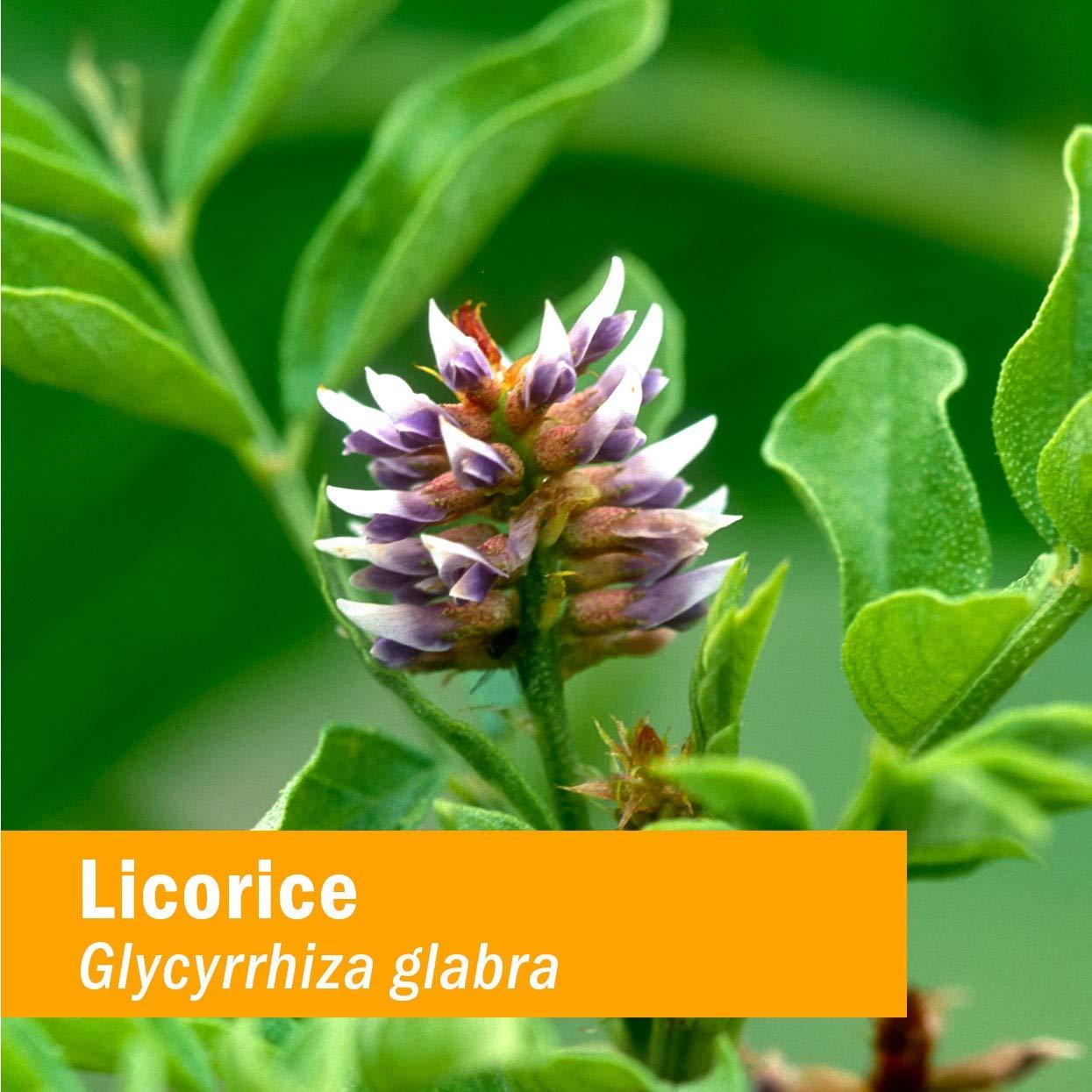 Herb Pharm Herb Pharm, Licorice, System Restoration, 1 fl oz (30 ml)