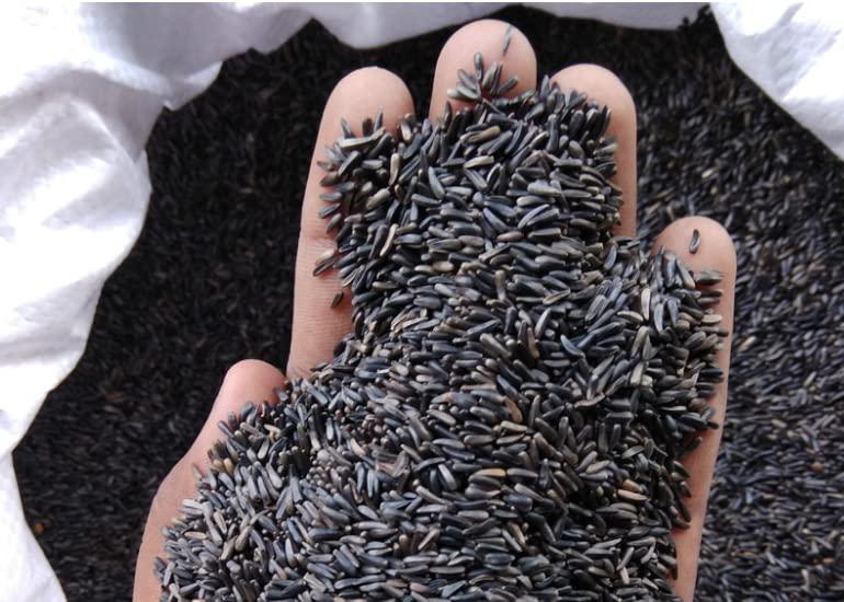 Sampige Sampige Niger Seed Niger Seeds 900g (Karale/Karal/Ramtil/Blackseed/Surguja/Valesulu/Payellu/Yamitilla/Veri Nuvullu)