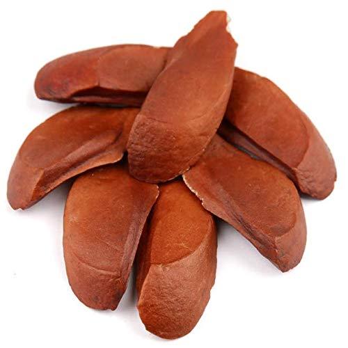 SKYFRUIT Skyfruit Kadwa Badam (Bitter Almonds) Quality Seeds - 450 gm