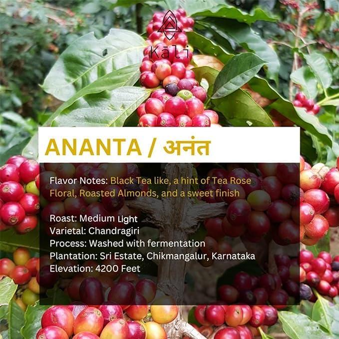 MP 44 MP44 Pure & Fresh Dhaniya Powder || Aromatic Coriander Powder || Savorful Coriander Spice || Gourmet Coriander Seasoning || Natural Coriander Spice Blend || Richly Flavored Dhaniya Spice (500 gm)