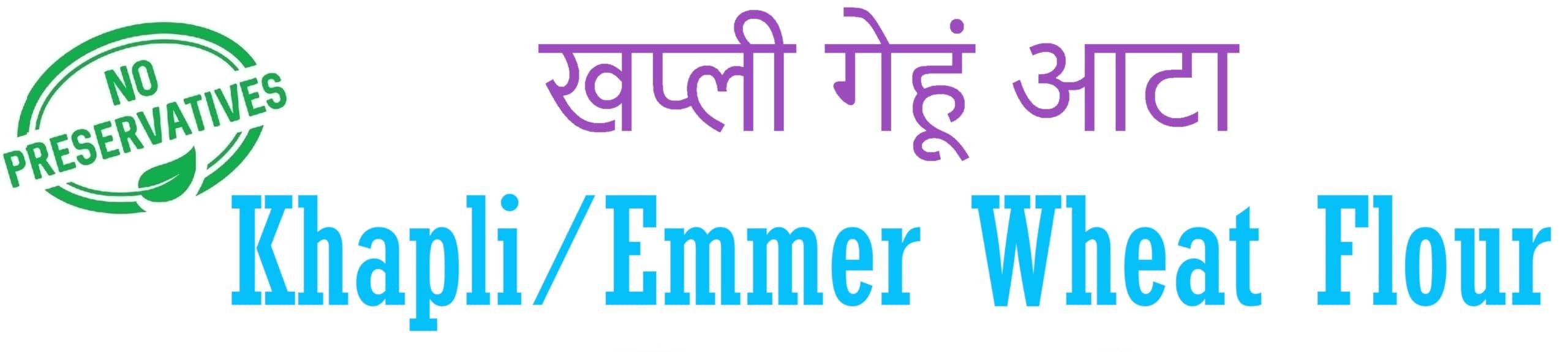 Generic The SouthWest | Khapli Wheat Flour | Emmer Long Wheat Flour | Khapli Gehu Atta | Samba | Javegodi | Sadaka | Podi | Pindi | Powder