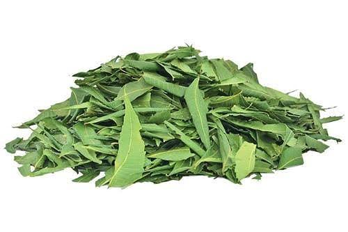 NavaFresh Basics Organics Neem leaves granules - 100 gms