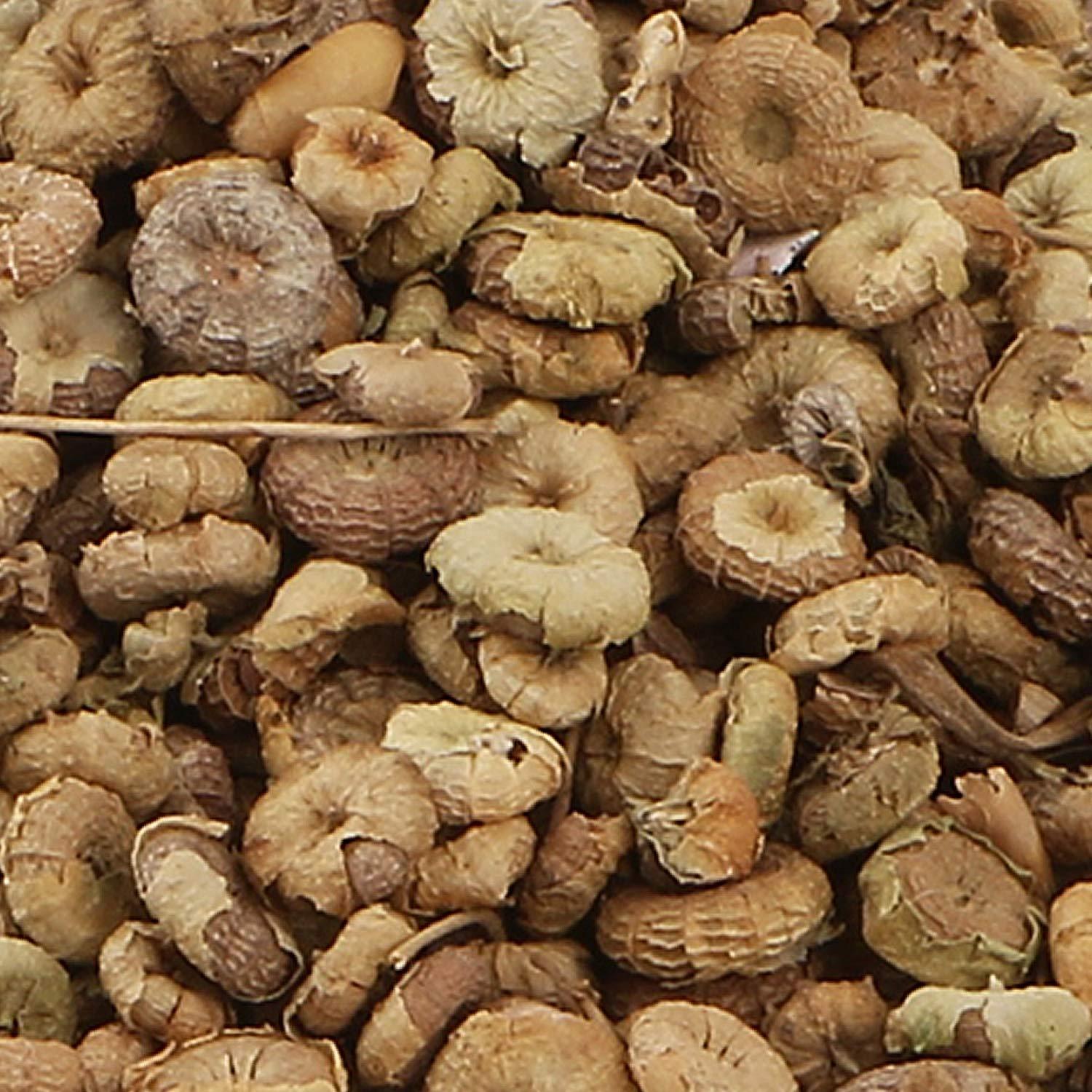 Yuvika YUVIKA Khubbaji - Malva Sylvestris Linn - Common Mallow Seeds (800 Grams)