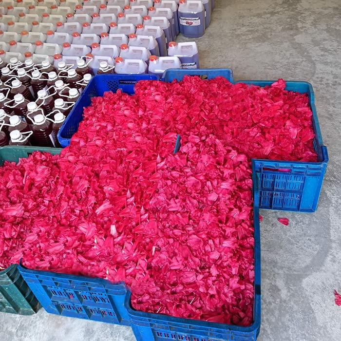 GITAGGED Uttarakhand Buransh SQUASH (The Sanjeevini Flower) – 1Litre GiTAGGED®