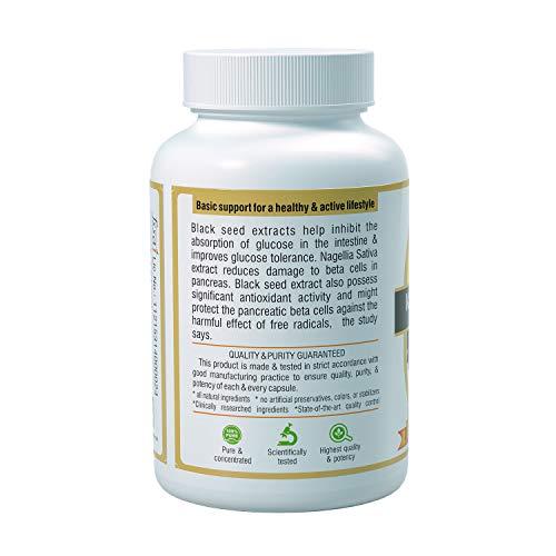 Sushrut Ayurved Industries Sushrut Ayurved Industries - Kalonji Black Seed Extracts (500mg X 60 Veg Capsules) - Dietary Herbal Supplement (Pack of 2)