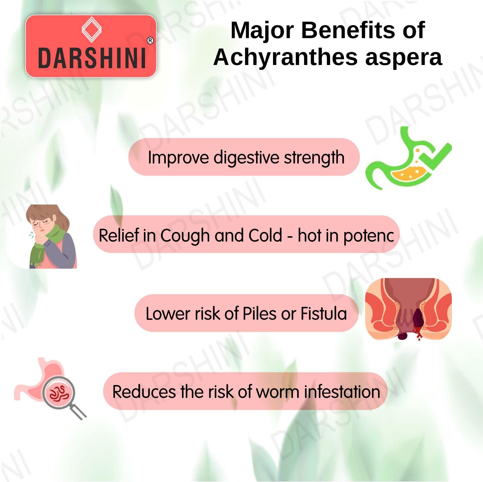 DARSHINI Darshini Apamarga/Chirchira/Latjira/Aghada Powder, 200g