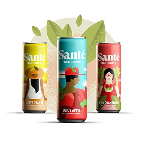 Sante Sante Wild Cranberry Fruit Drink 250ml (Pack of 6)