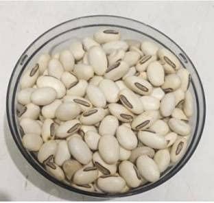Malowal Malowal Herb White Kaunch Beej/Mucuna Pruriens (100 Gm, Kaunch Seed)