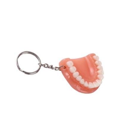 NMD NEXUS MEDODENT NMD Nexus Memodent Dental Lower Jaw with tooth keychain (Pack of 1)