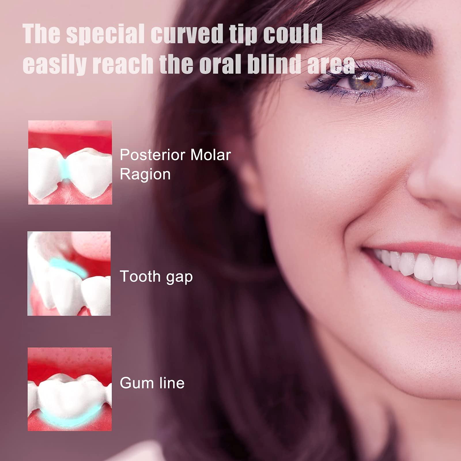 BTFO BTFO Sonic Electric Toothbrush with 5 Modes, 2pcs Replacement Brush Heads USB Rechargeable Smart Electronic Toothbrush with Holder for Adults IPX7 Waterproof Smart Timing Fast Charging (Black)