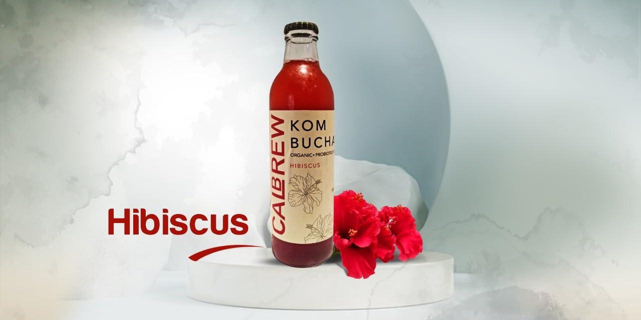 CALBREW CALBREW \"Kombucha + Kefir Combo Pack - Probiotic Rich Tea Fusion | Raw and Unfiltered | Gut-Friendly and Energizing\" |6-Pack Assorted Flavors ||250ml|