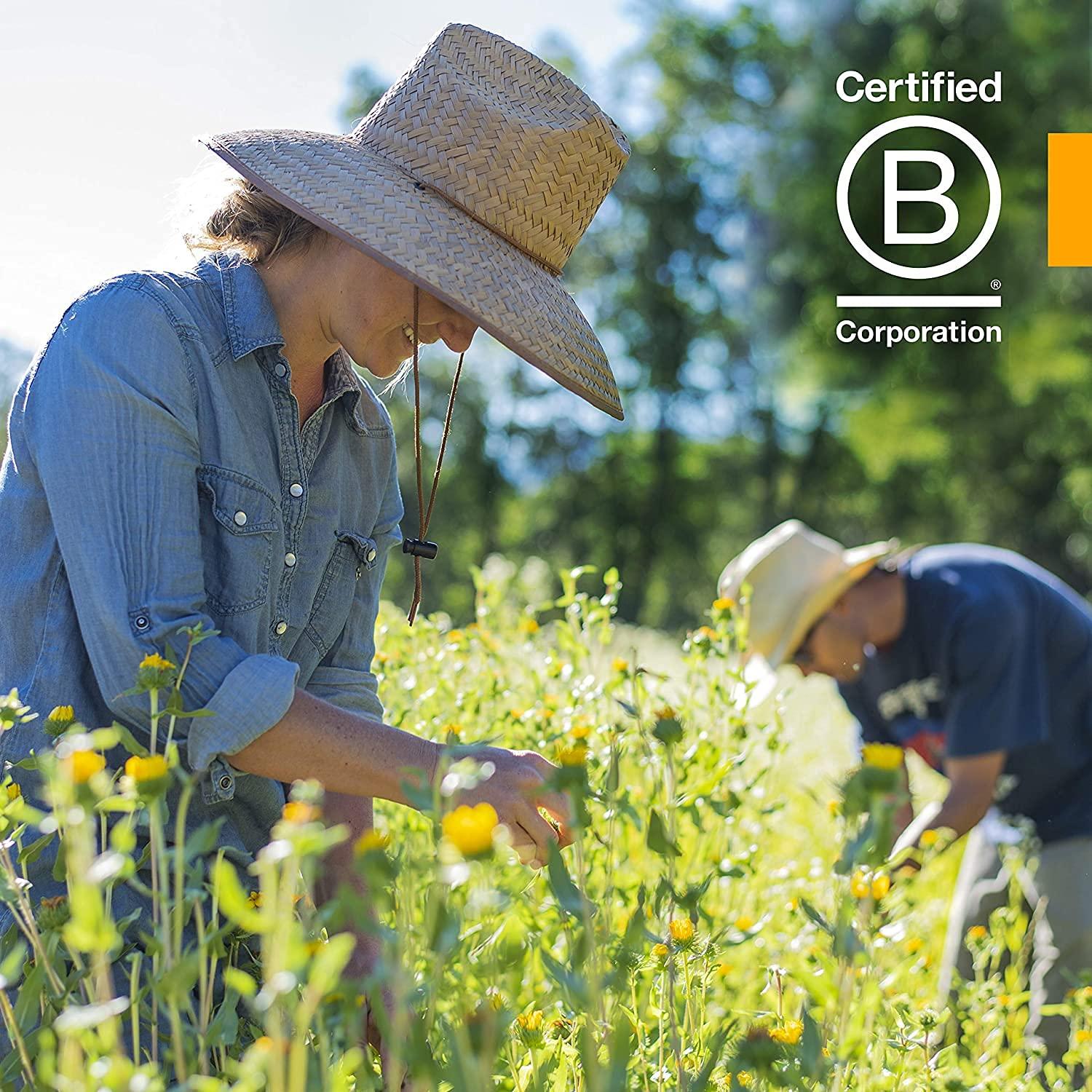 Herb Pharm Herb Pharm Uva Ursi Extract for Urinary System Support - 1 Ounce