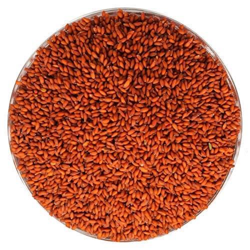 NATURE YARD NATURE YARD Organic Halim Seeds / Aliv Seed / Garden Cress for Eating - 300 gm - Immunity booster superfood