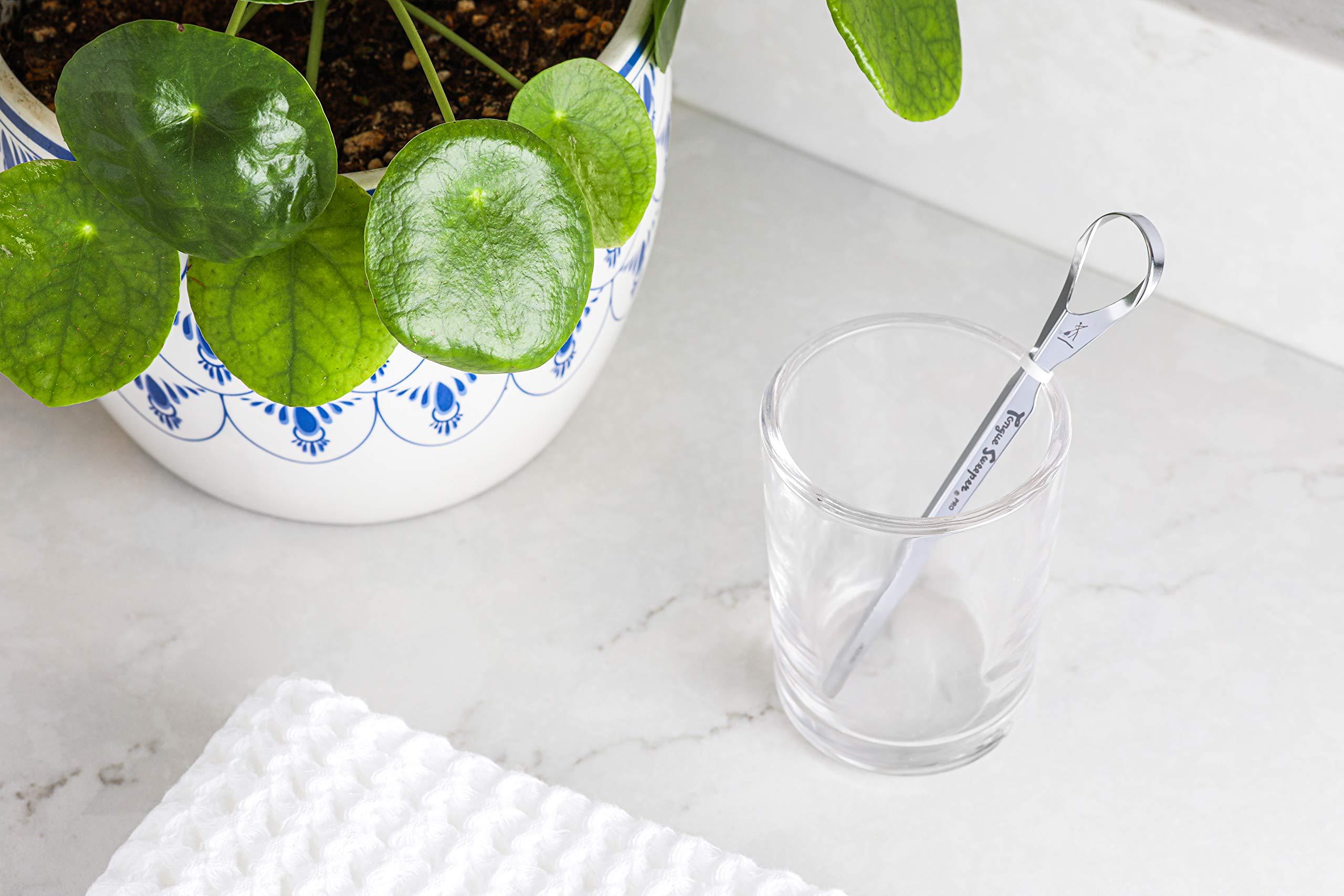 Tongue Sweeper Tongue Sweeper Model P Stainless Steel Tongue Cleaner