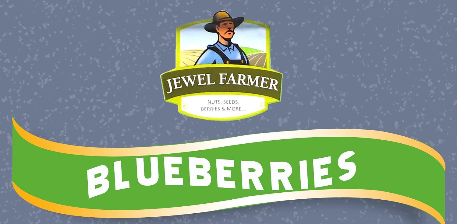 JEWEL FARMER JEWEL FARMER American Dried Blueberries Organic & Natural Ready to Eat (500g)