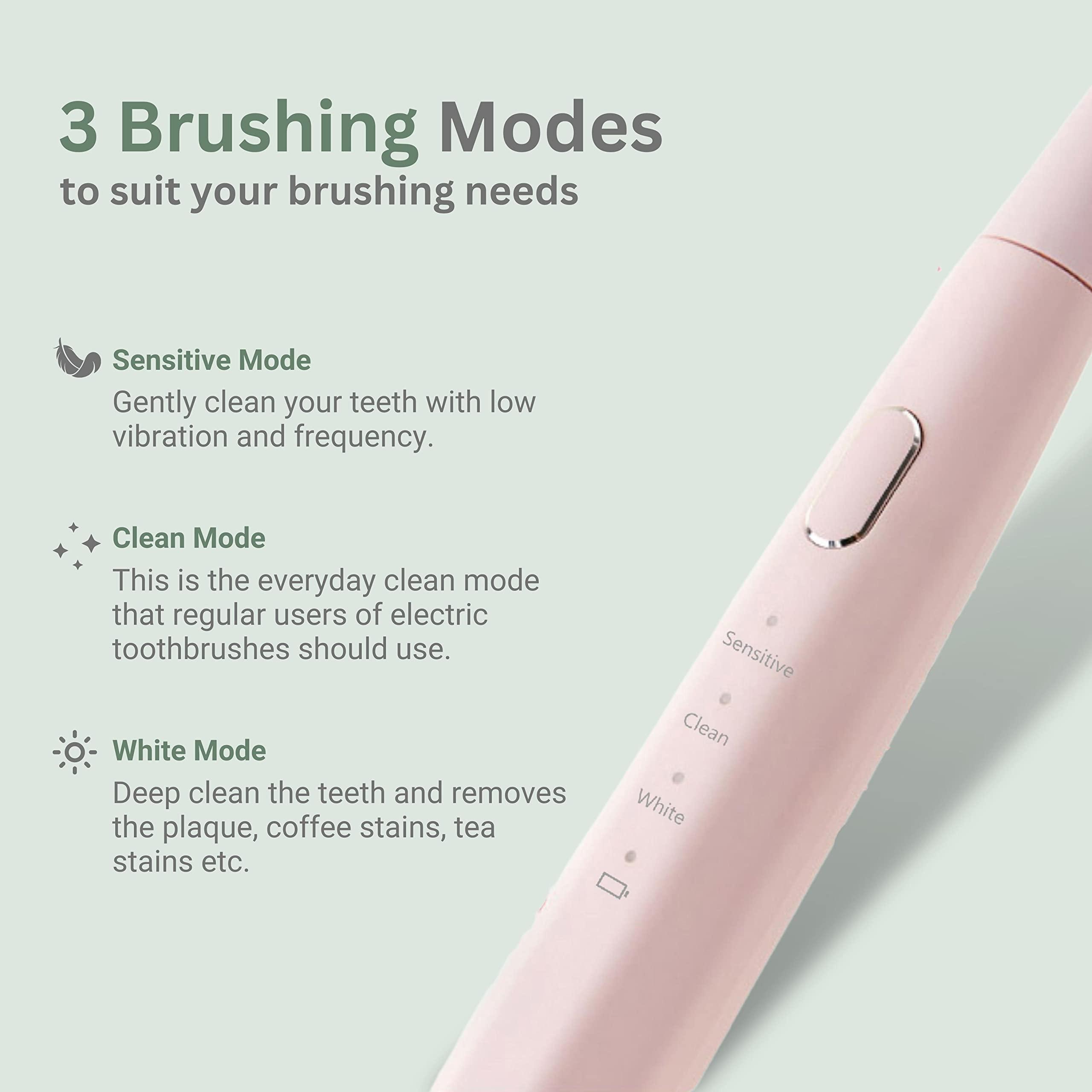 Everest Everest Ginger Garlic Paste 100gm