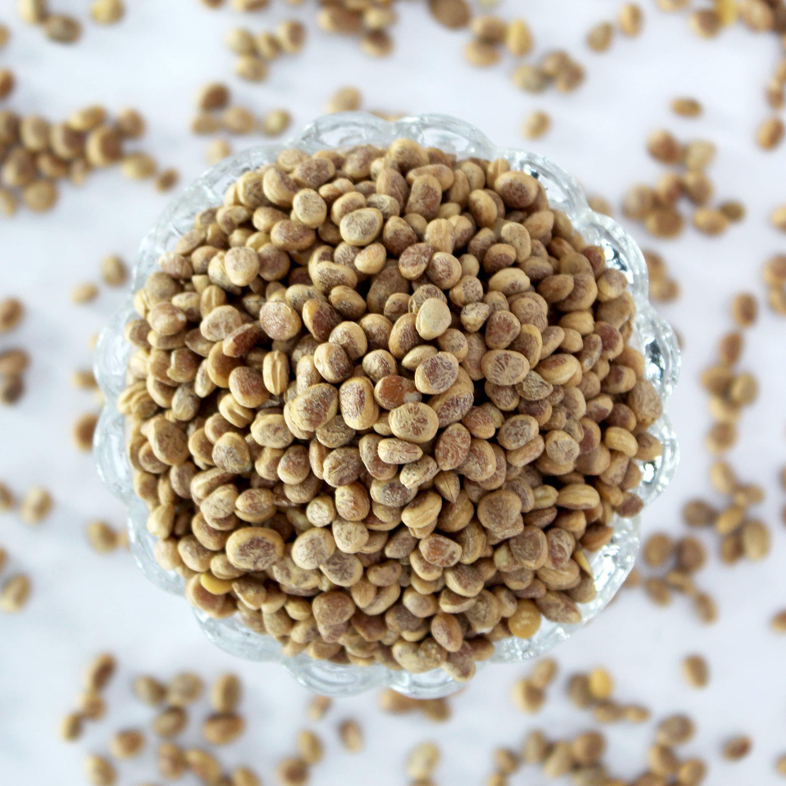 Swiss Naturals Swiss Naturals Almondette Kernels | Charoli Dry Fruits | Chironji Seeds Organic | Chiraunji Dana, 900 gm