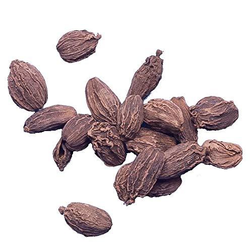 Nutrixia Food Black Cardamom/Amomum subulatum Roxb (50 Gms)
