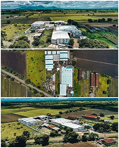 NUT BUT NUT BUT 100% Natural Premium 500g pack | Whole Crunchy Cashew | Premium Kaju Cashew Nuts Dry Fruit Nutritious & Delicious Gluten Free & Plant-based Protein Kaju