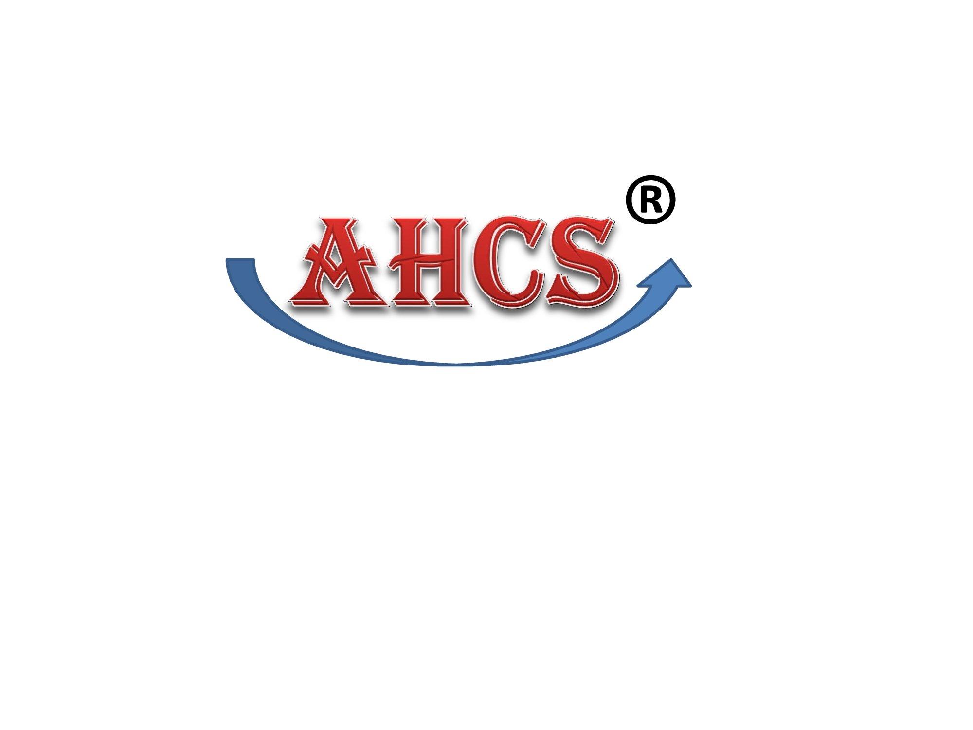 AHCS AHCS Power Magnet Pyramidal Set Is Heavy-Weight Bio-Pole Magnet for Acupressure Health Care Systems Hyderabad