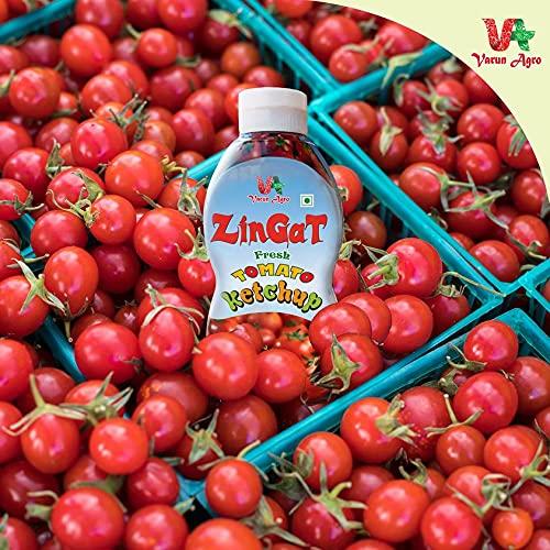 VARUN AGRO PROCESSING FOODS PRIVATE LIMITED Fresh Tomato Ketchup 450 gm Bottle, Sweet & Tangy Sauce tamota sauce onion garlic - Super Saver Offer Pack (Grocery items in kitchen)