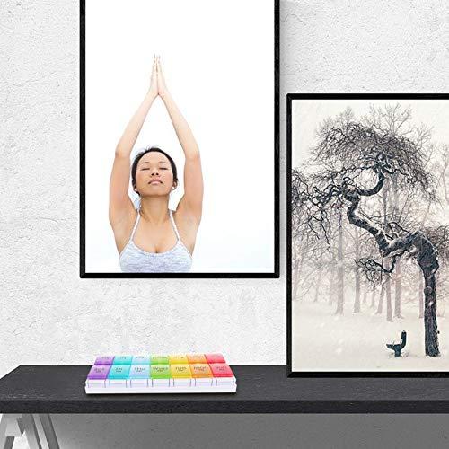 EXCEART EXCEART 14 Grids 7 Days Pill Box Organizer Weekly Pill Organizer Large Pill Organizer Pill Cases Meds Box Pill Box Case