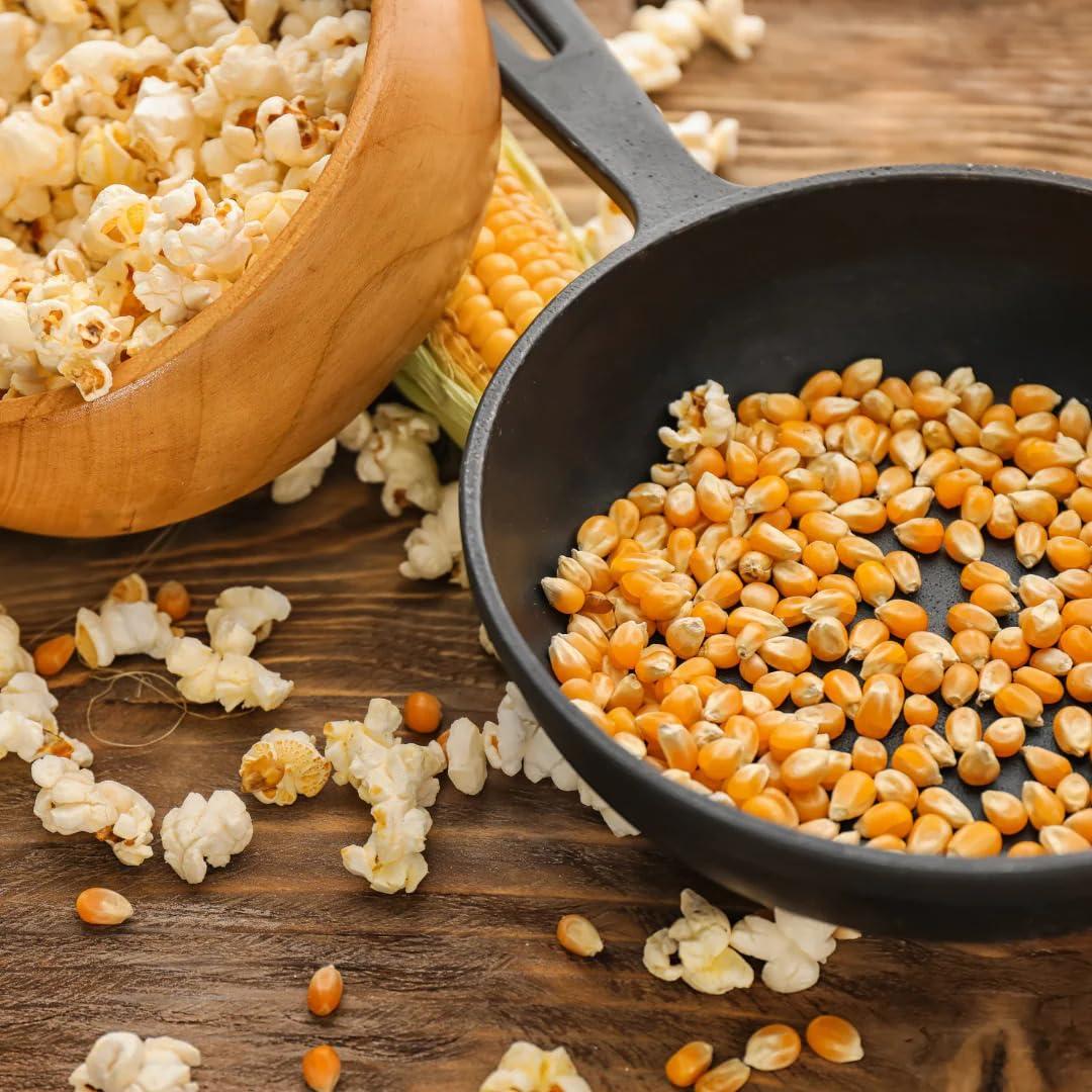 Nature Vit NATUREVIT Popcorn Kernels | Popcorn Seeds | Party Snacks | Popcorn Kernel 10 Kg(1Kgx10Packet) | Now Enjoy Movie Theatre Style | Butterfly Pop Corn At Home