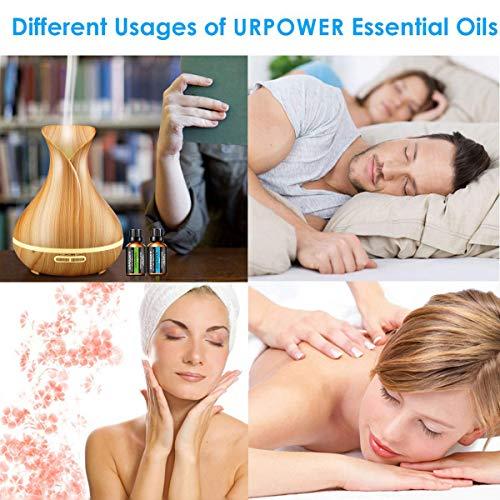 URPOWER URbeauty Essential Oils, Upgrated 6 Aromatherapy Essential Oil Diffuser Essential Oils 100% Pure Lavender, Peppermint, Sweet Orange, Eucalyptus, Tea Tree, Lemongrass Essential Oil Gift Set 10ml/each