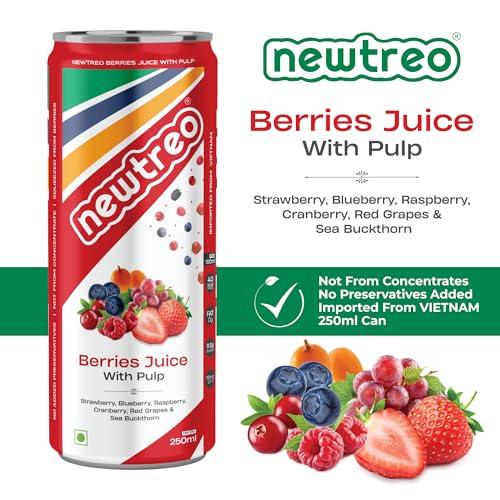 Newtreo Newtreo Berries Juice With Pulp | Imported from Vietnam | Strawberry, Blueberry, Raspberry, Cranberry, Red Grapes & Sea Buckthorn Juice | 12 x 250ml cans | No concentrates or preservatives added