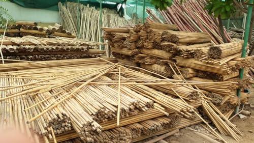 tclpvc TCLPVC Bamboo Wood Stick for Self Defence, Stick for Exercise, Stick for Martial Arts, Gatka Stick (6 Ft, 10 Pieces)