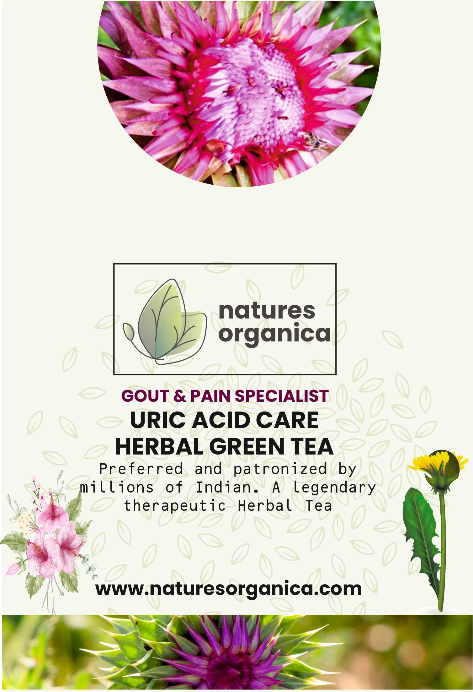 Natures Organica Natures Organica Uric Acid Care Green Tea- Reduce your Gout pain, Blend of Goodness of Milk Thistle, Hibiscus Leaves, Nettle Leaves, Dandelion Root -100% Natural (100gm, Pack of 1)