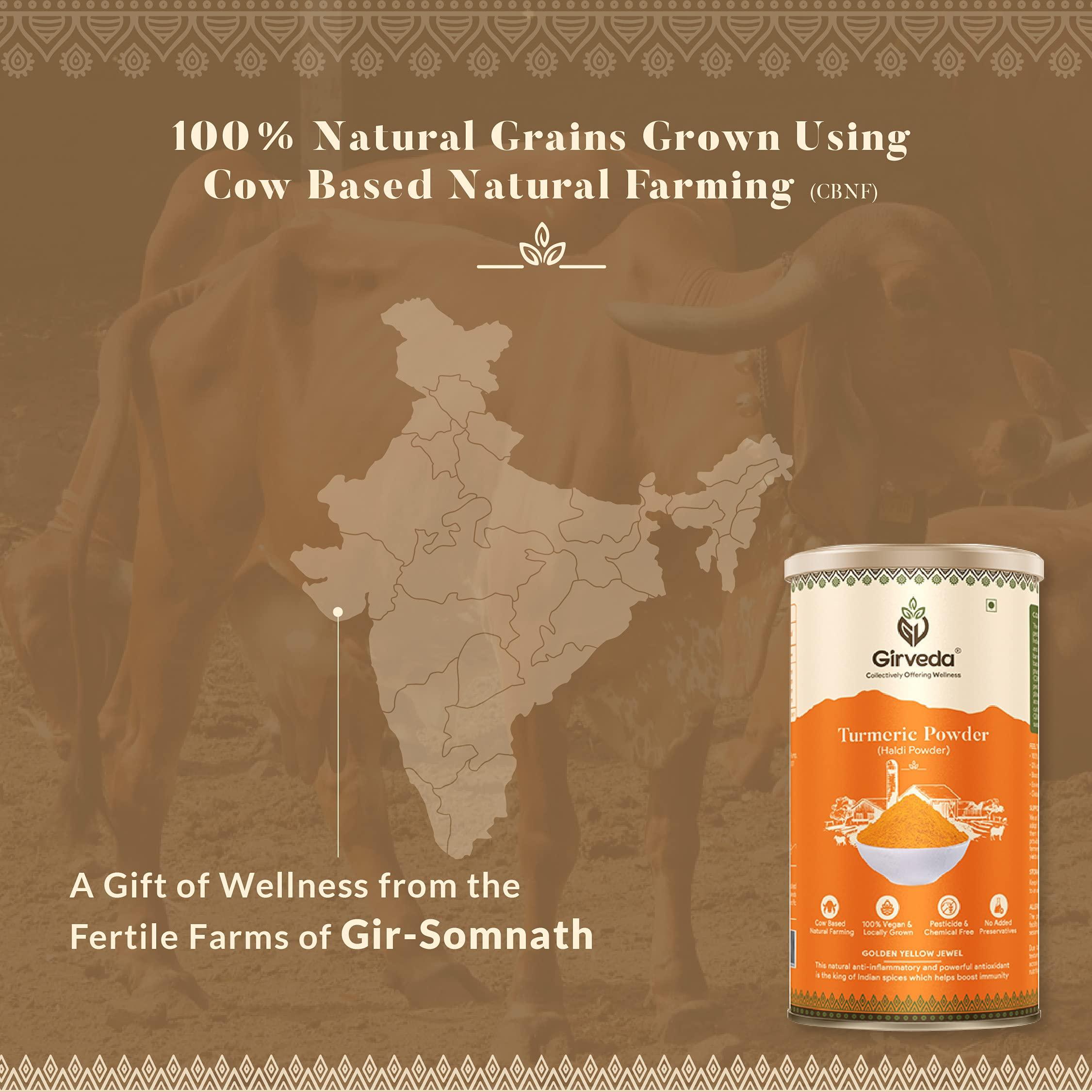 Girveda Girveda 200 gm Turmeric Powder (Cow Based Natural Farming) Haldi Powder