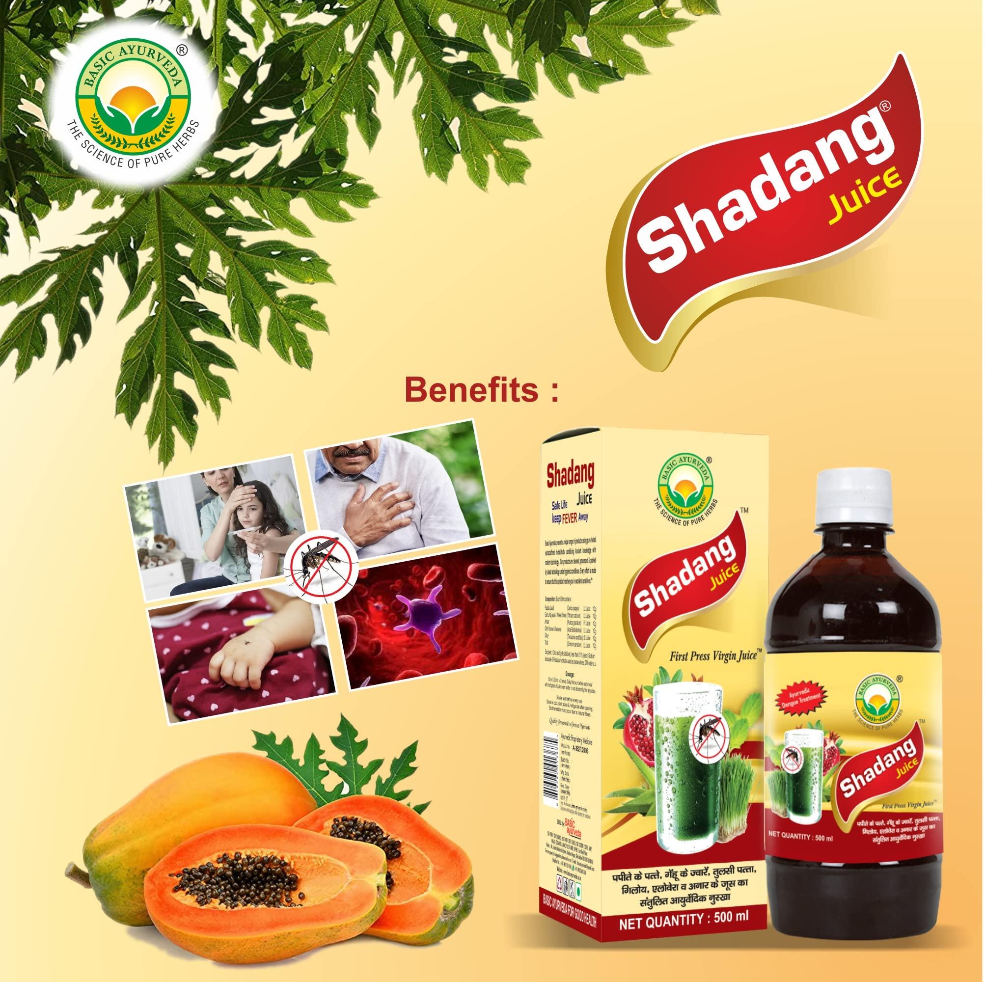 JRC JRC Chironji, Charoli Dry Fruits 100 Gms