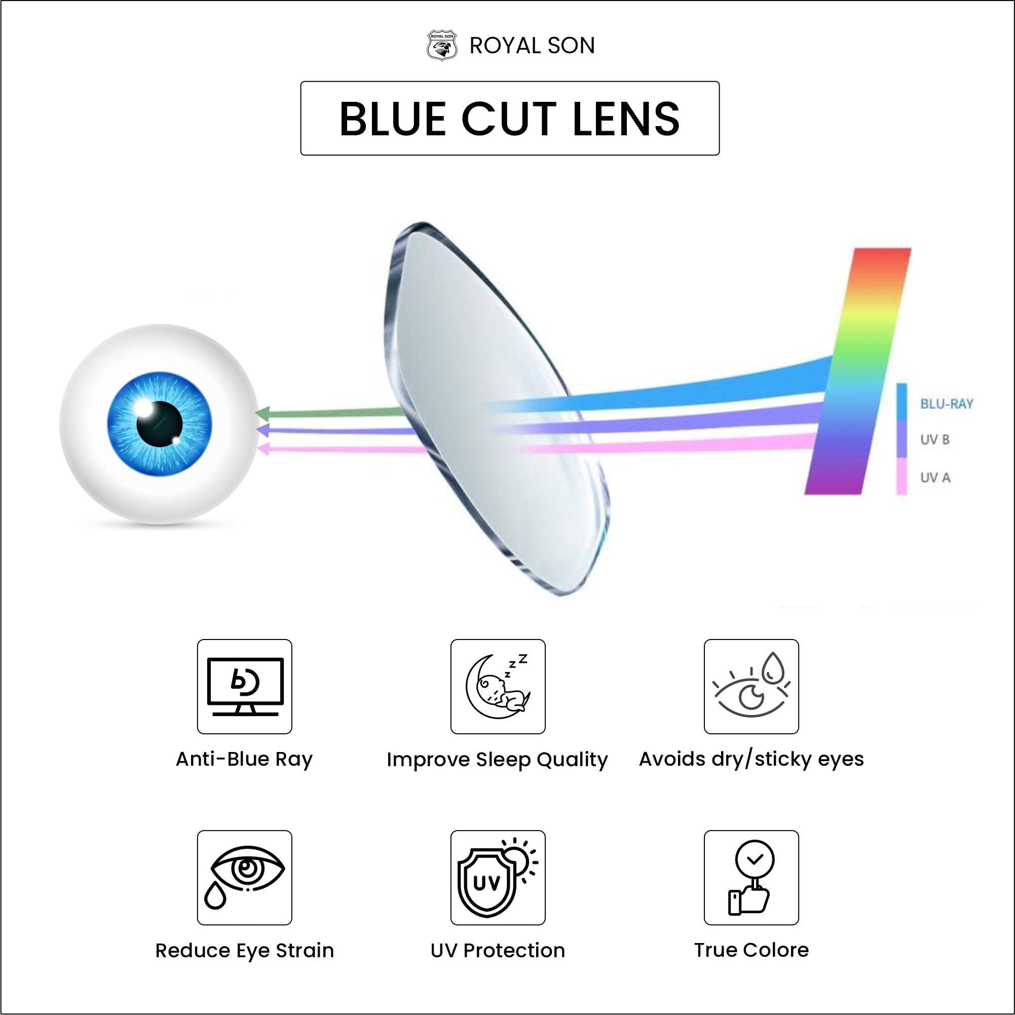 ROYAL SON ROYAL SON Unisex\'s C4 Blue Block Lens | Black Frame Reading Glasses-M (SF0016-C4)