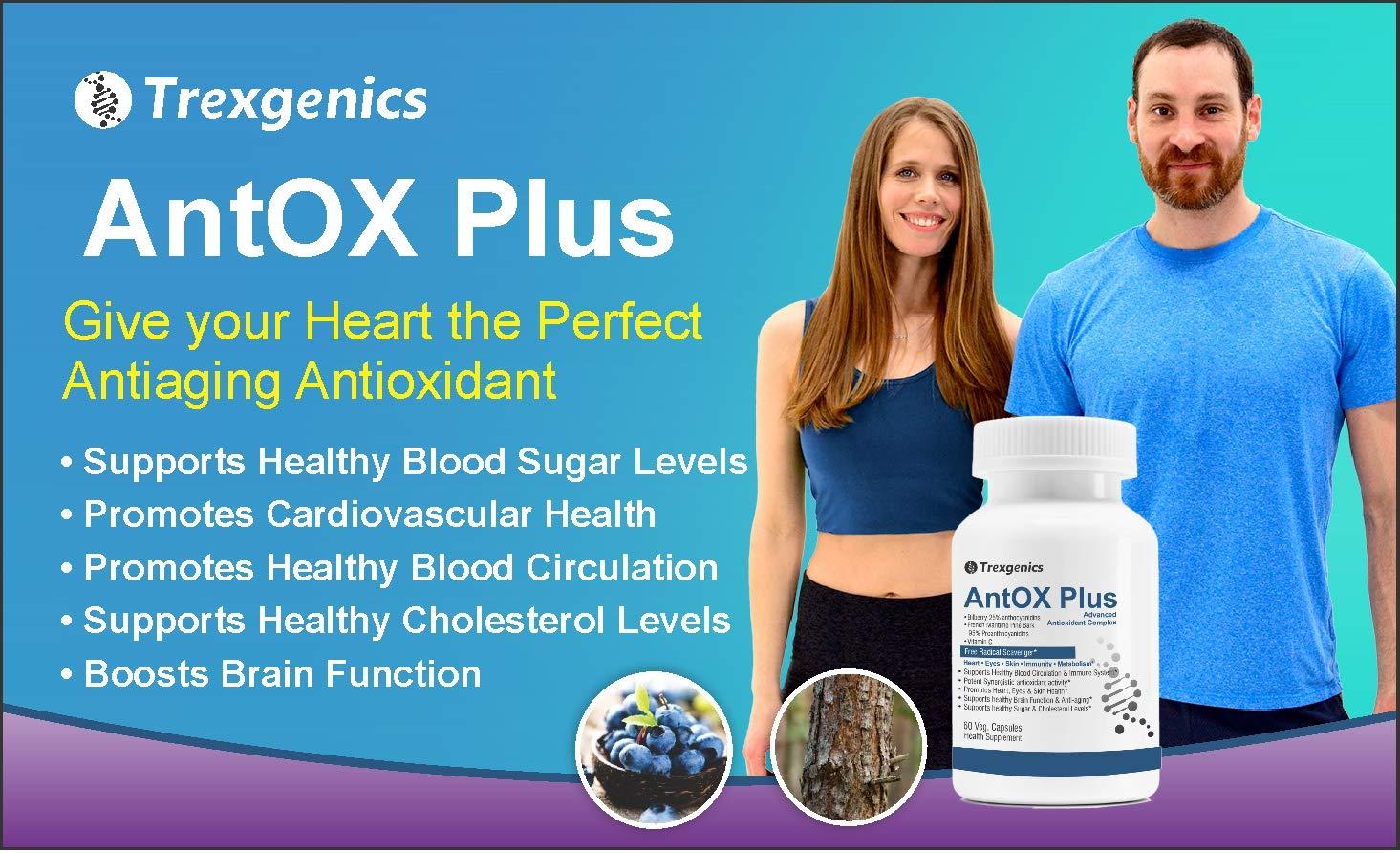 Trexgenics Trexgenics ANTOX PLUS Bilberry 25% 200 mg, Pine bark 90% 200 mg & Vitamin C Advanced Antioxidant complex, Heart, Eyes, Skin, Immunity, Metabolism (60 Vcaps) (1)
