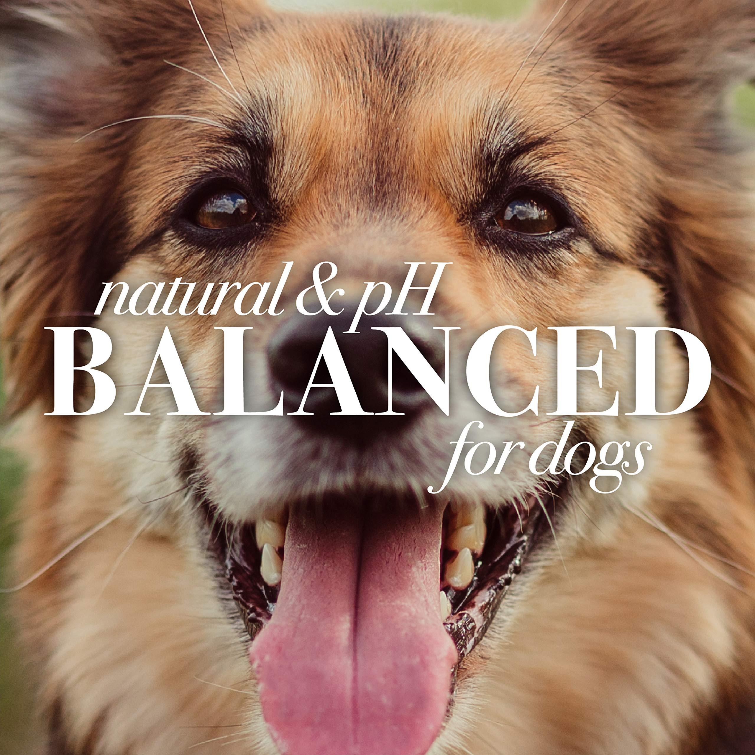 Burt\'s Bees Burts Bee Ear Cleaning, 4-Ounce