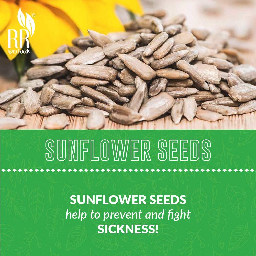 RR AGRO FOODS RR AGRO FOODS Premium Sunflower Seed For Eating Pack of (1)