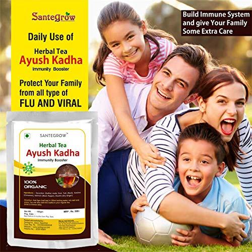 Santegrow Santegrow Immunity Booster Powder for Adults & Kids (Ayush Kadha/Kwath) - Pack of 4