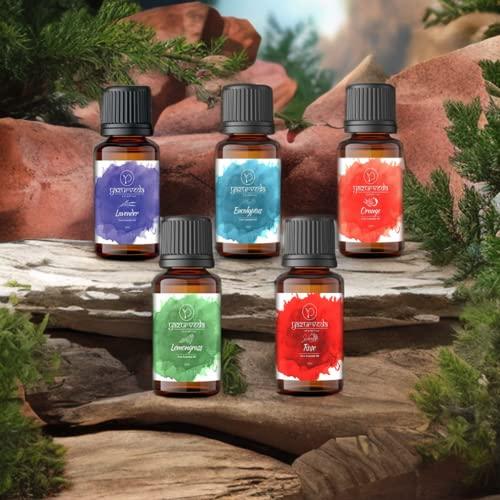 Yazurveda Yazurveda Aromas Essential Oil Pure, Natural | Lavender oil, (Nilgiri) Eucalyptus oil, Lemongrass oil, Orange oil, Rose oil, (Pack of 5)