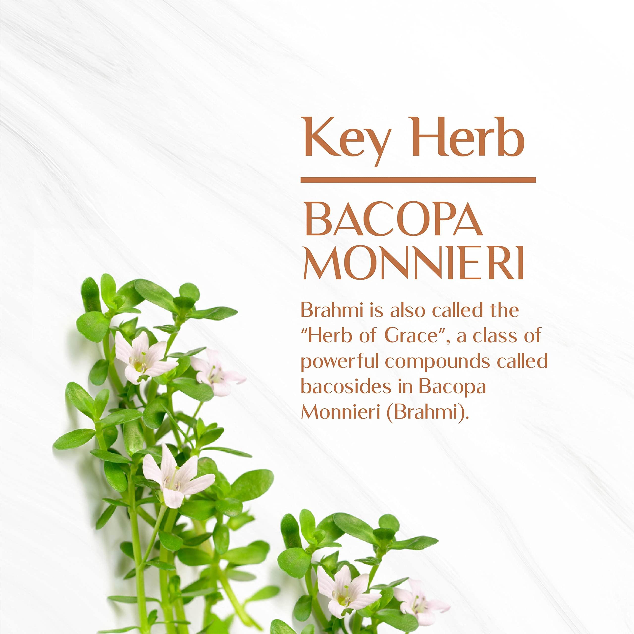 Maharishi Ayurveda Maharishi Ayurveda Organic Brahmi - Bacopa Monnieri Tablets | For Brain Health | 60 Tabs - Pack of 2 (120 Tablets)