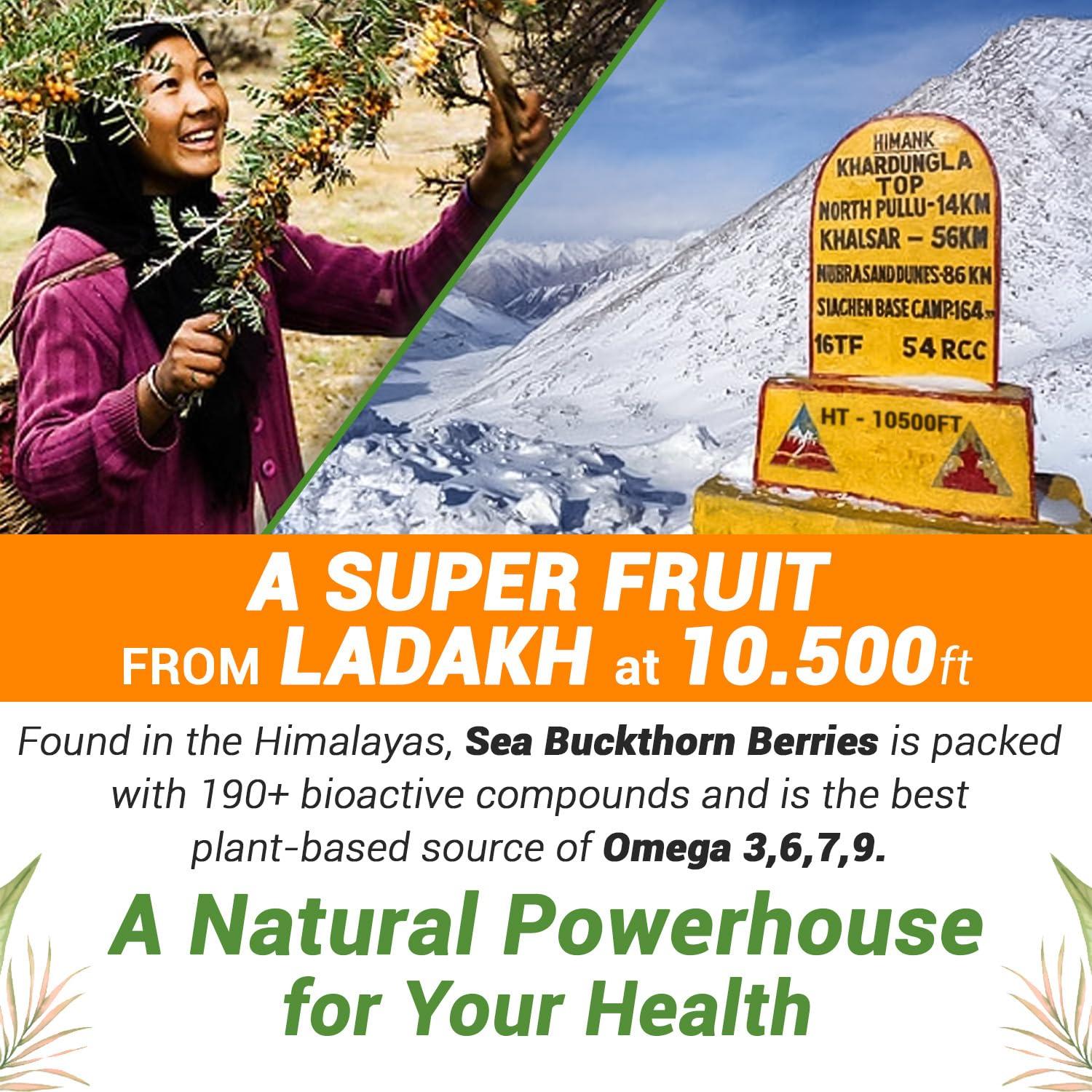 Ayuzera Ayuzera Himalayan Sea Buckthorn Pulp 300ml | Plant Based Vegan Omega 3, 6, 7 and 9 | Vegetarian Liquid Supplements | No Fish Oil | Veg, Natural & Organic | Makes up to 50 Glass Juice | Rich in Omega 7, Antioxidants, Vitamins | (900ml Pack Of 3)