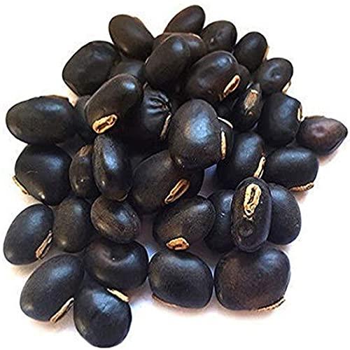 Hardia Hardia shatavar, safed musli, kaunch beej, gokhru, ashwagandha 125gm Combo Pack