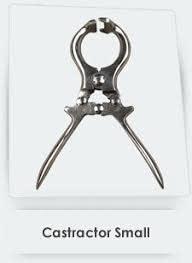 BSIPL BSIPL Burdizzo Castrator Sizes 9\" Veterinary instruments Veterinary instrument Animals Sheep and Goats Castration Pliers Stainless Steel