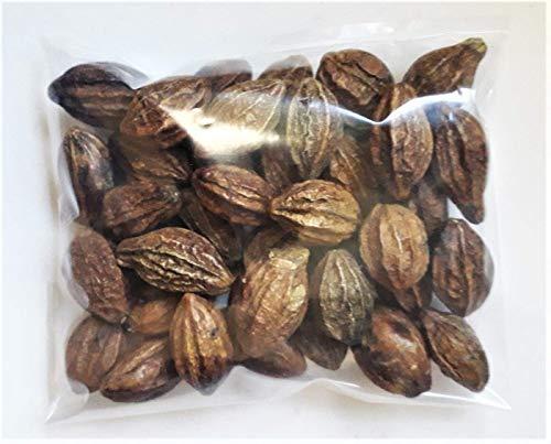 Jhai Kal Jhai Kal Dried Whole Haritaki Harad Harre Harde Terminalia Chebula Harda Kadukkai Karakkaya 200 gm
