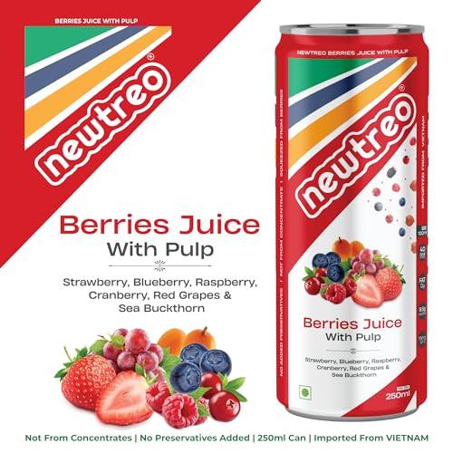 Newtreo Newtreo Berries Juice With Pulp | Imported from Vietnam | Strawberry, Blueberry, Raspberry, Cranberry, Red Grapes & Sea Buckthorn Juice | 12 x 250ml cans | No concentrates or preservatives added