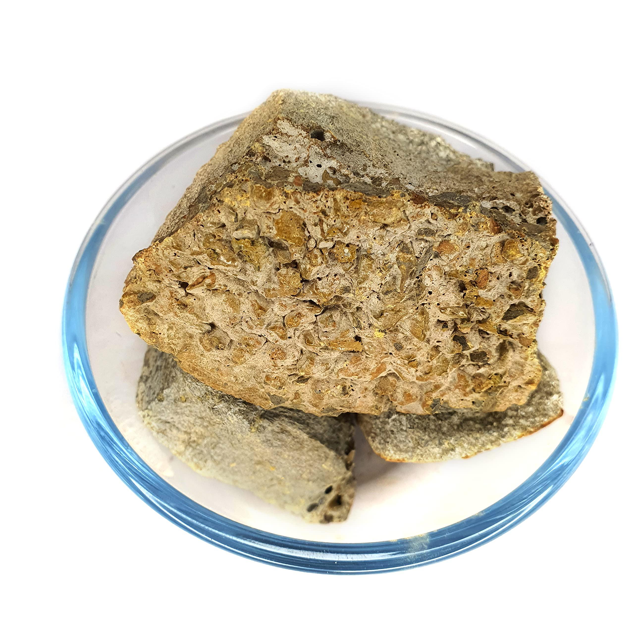 Generic Masso Pansari Murda Singi Murdar Singh Seng Litharge (200gm) | Chemical Free | No Added Preservative | Pure & Natural Murda Sindi