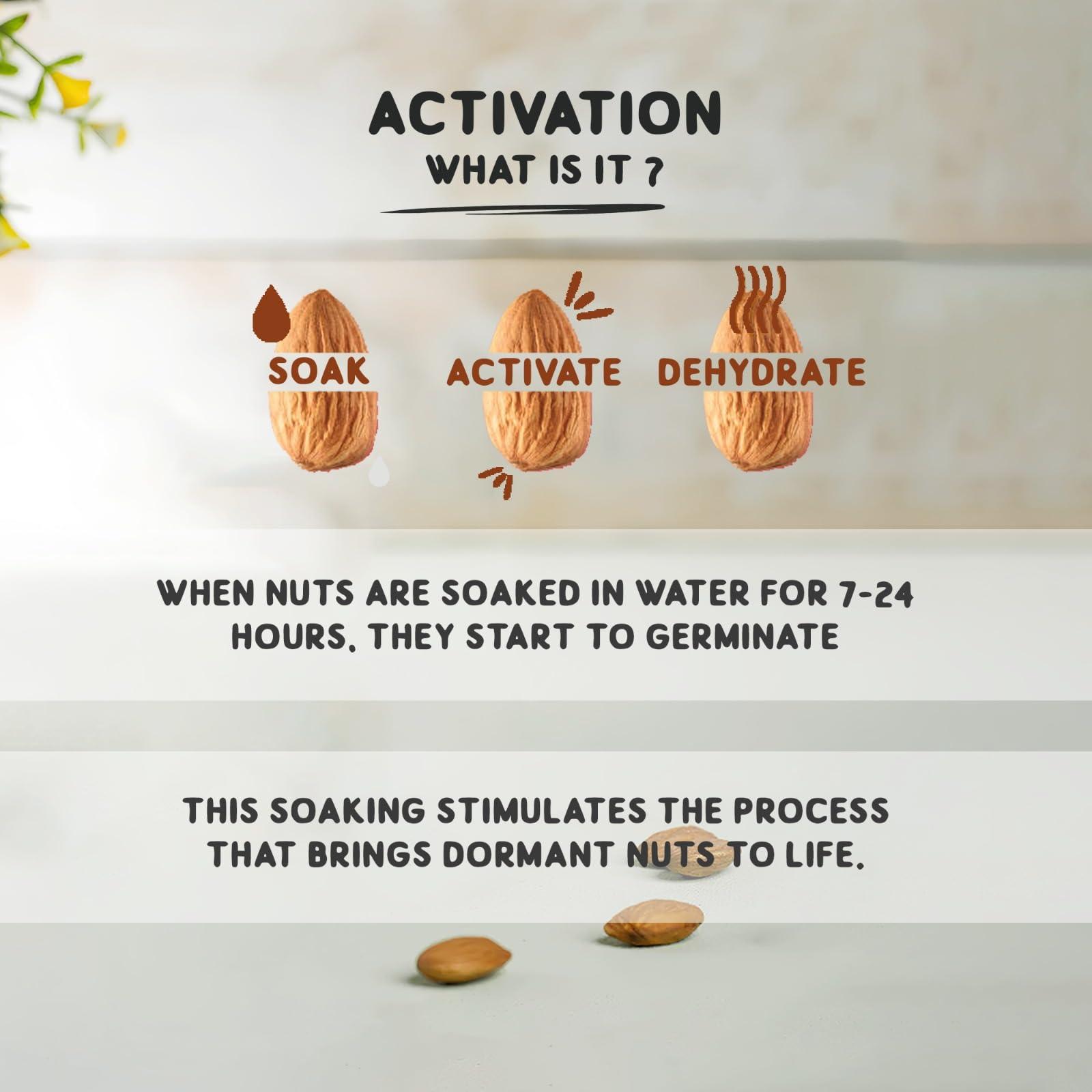 Dhatu Dhatu Activated Almond Butter, 150 g