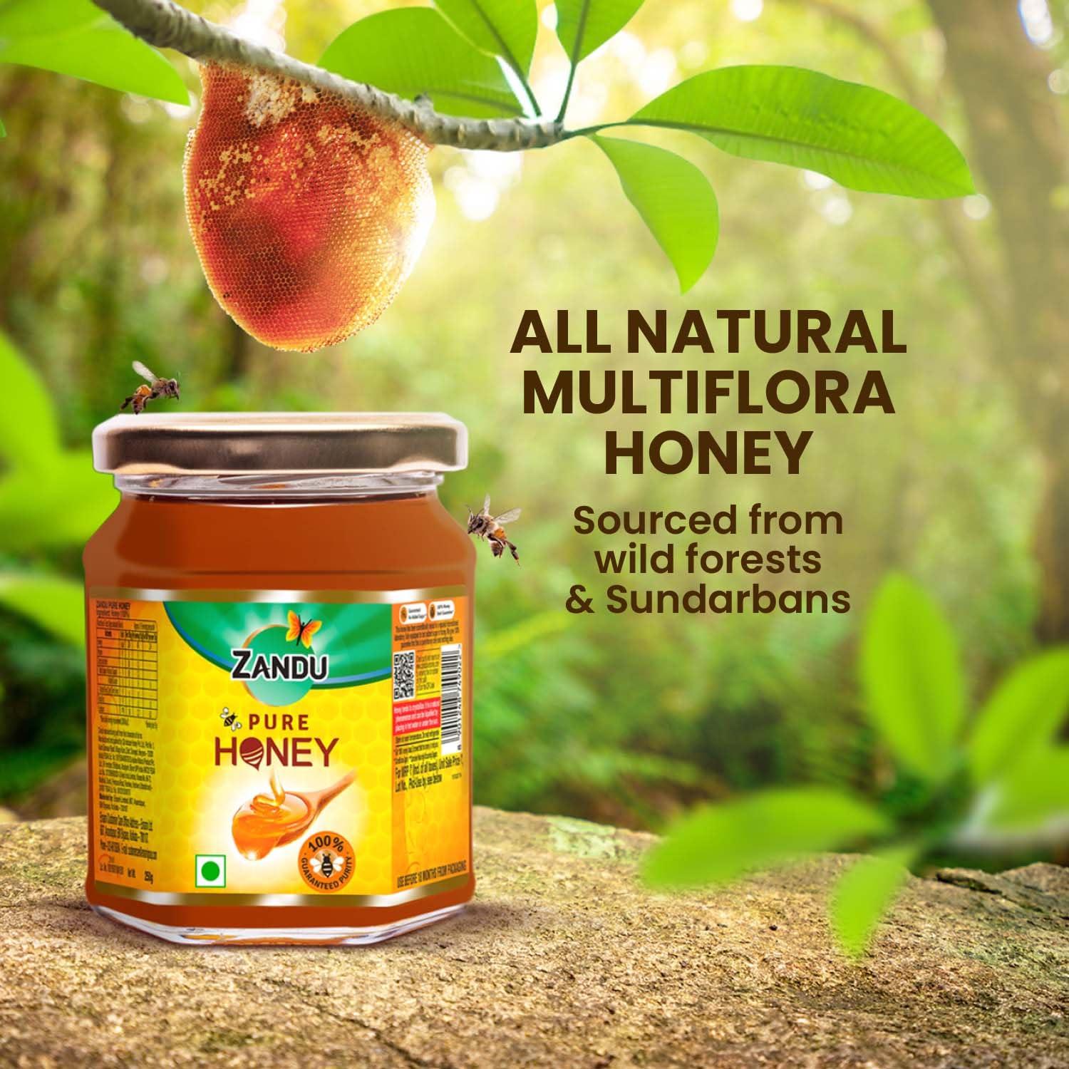 Zandu Zandu Pure Honey with Cinnamon, Green Tea & Lemon, 100% Purity, No Added Sugar, 250g