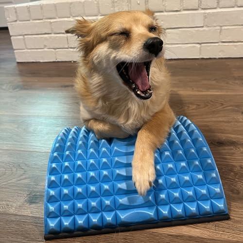 SOLIDBACK Solidback Chronic Lumbar Pain Relief Stretcher